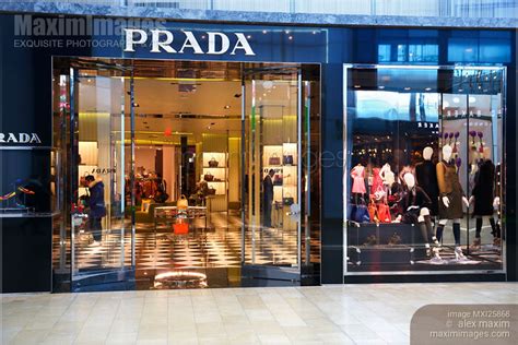 prada ontario|Prada canada online shopping.